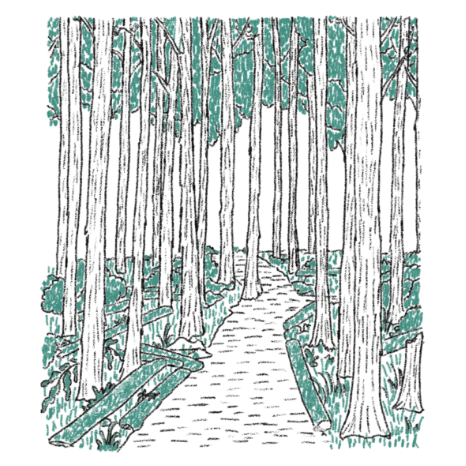 トレイルロードイメージイラスト