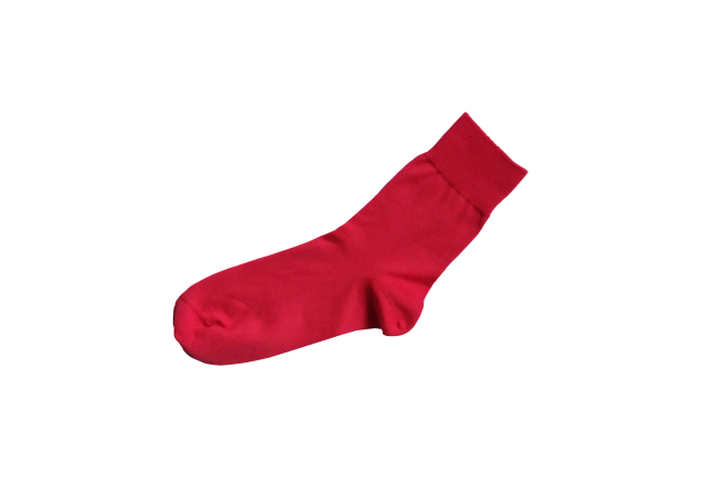 EGYPTIAN COTTON PLAIN SOCKS S画像